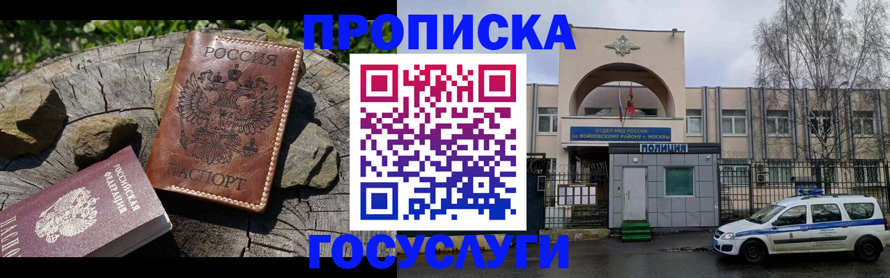 временная регистрация поиск в Павловске
